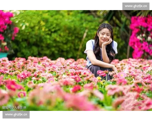 《夏花》:一段跨越岁月与记忆的爱情故事,展现生命的脆弱与坚韧